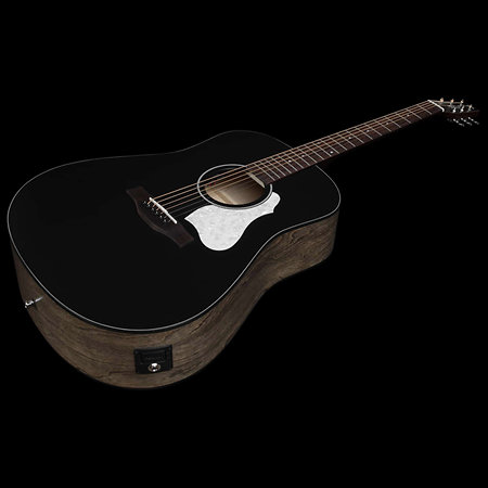S6 Classic Black A/E Seagull