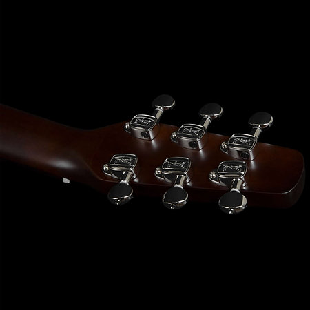 S6 Classic Black A/E Seagull
