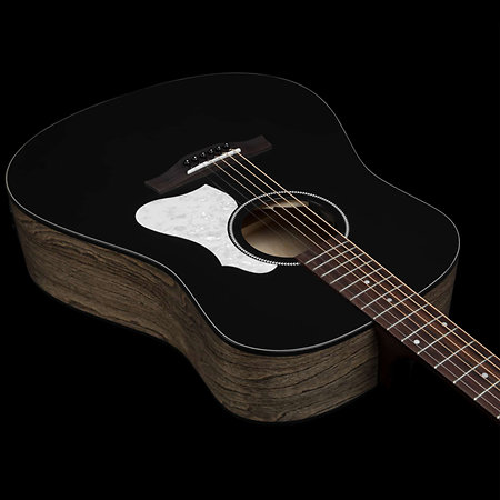 S6 Classic Black A/E Seagull