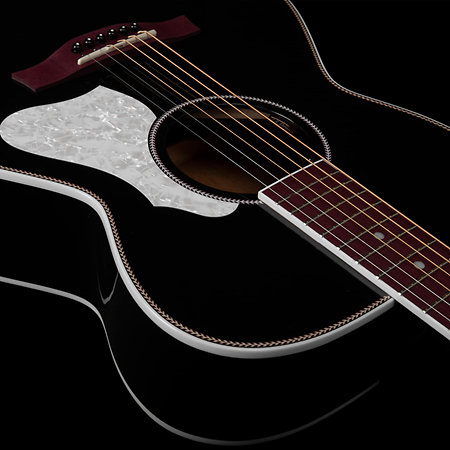 Artist Ltd Tuxedo BK EQ + housse Seagull