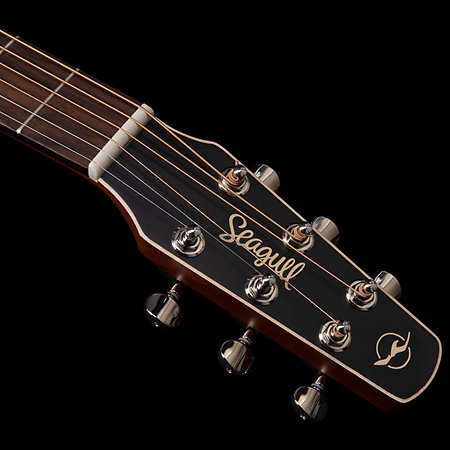 Coastline Spruce Slim CW Presys II Seagull