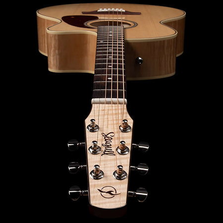 Performer MJ CW Flame Maple Presys II + housse Seagull