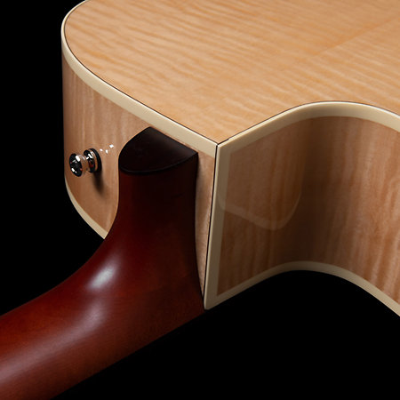 Performer MJ CW Flame Maple Presys II + housse Seagull