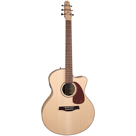 Performer MJ CW Flame Maple Presys II + housse Seagull