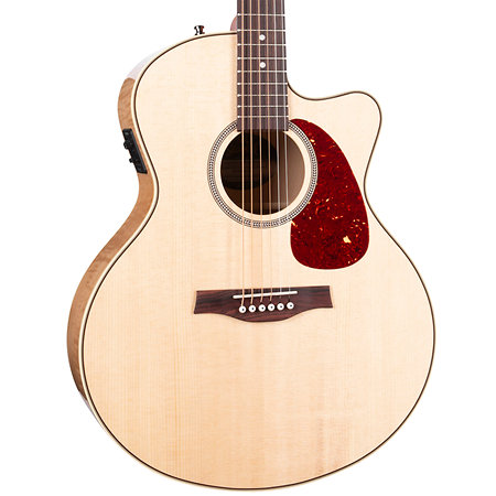 Performer MJ CW Flame Maple Presys II + housse Seagull