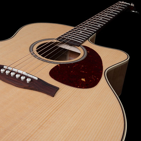 Performer MJ CW Flame Maple Presys II + housse Seagull