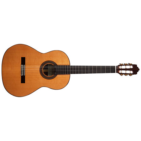 Altamira N600 4/4 EN + Housse