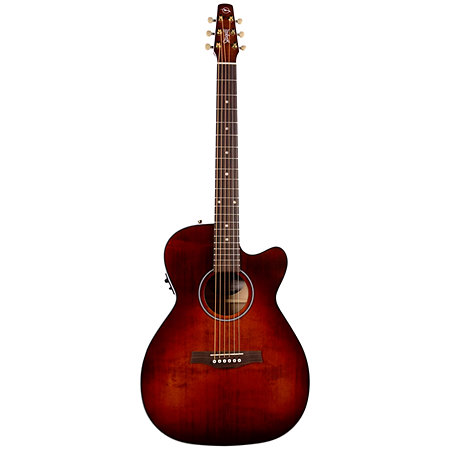 Performer CH CW Burst Umber Presys II + housse Seagull