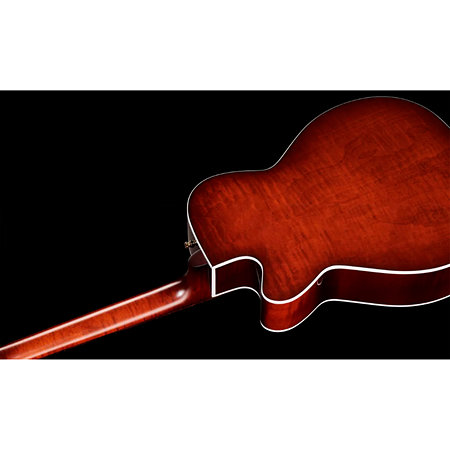 Performer CH CW Burst Umber Presys II + housse Seagull