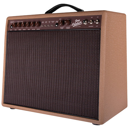 REVV Amplification D25 1x12" Combo Joey Landreth Limited Edition Brown Face