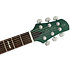 Q7 Metallic Green Larry Carlton