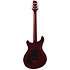 Q3 Tobacco Sunburst Larry Carlton