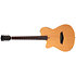 G5A LH Natural Satin Larry Carlton