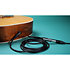 BigAmp Piezo Triton Audio
