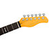 T7 FM New Gen Natural Larry Carlton