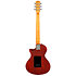 I5S Tobacco Sunburst Larry Carlton