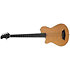 GB5 5 Cordes LH Natural Marcus Miller
