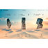 Komplete 26 Collector's Edition (licence) Native Instruments