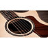 812ce Next Generation Natural + Etui Taylor