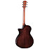 412ce Next Generation Natural + Etui Taylor