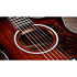 322ce Next Generation Mahogany + Etui Taylor