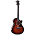 322ce Next Generation Mahogany + Etui Taylor
