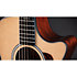 312ce Next Generation Natural + Etui Taylor
