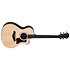 312ce Next Generation Natural + Etui Taylor