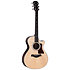 312ce Next Generation Natural + Etui Taylor