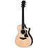 312ce Next Generation Natural + Etui Taylor