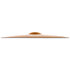 I Family 22" Ride Zildjian