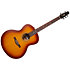 Entourage MJ Rustic Burst Seagull