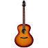 Entourage MJ Rustic Burst Seagull