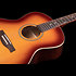 Entourage MJ Rustic Burst Seagull