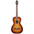 Entourage Grand Rustic Burst Seagull