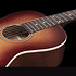 Entourage Grand Rustic Burst Seagull