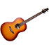 Entourage Folk Rustic Burst Seagull