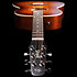 Entourage Folk Rustic Burst Seagull