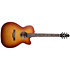 Entourage Rustic Burst CH CW EQ Seagull
