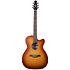 Entourage Rustic Burst CH CW EQ Seagull