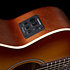 Entourage Rustic Burst CH CW EQ Seagull