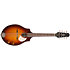 S8 Mandoline Sunburst EQ Seagull