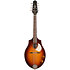 S8 Mandoline Sunburst EQ Seagull