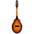 S8 Mandoline Sunburst EQ Seagull