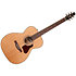 Coastline CH Momentum A/E HG Seagull