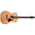 Coastline CH Momentum A/E HG Seagull