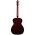 Coastline CH Momentum A/E HG Seagull