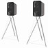 Concept 300 Noir et Noyer (la paire) Q Acoustics