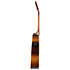 S6 Original Burnt Umber Presys II Seagull