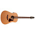 S6 Original Slim Presys II Seagull